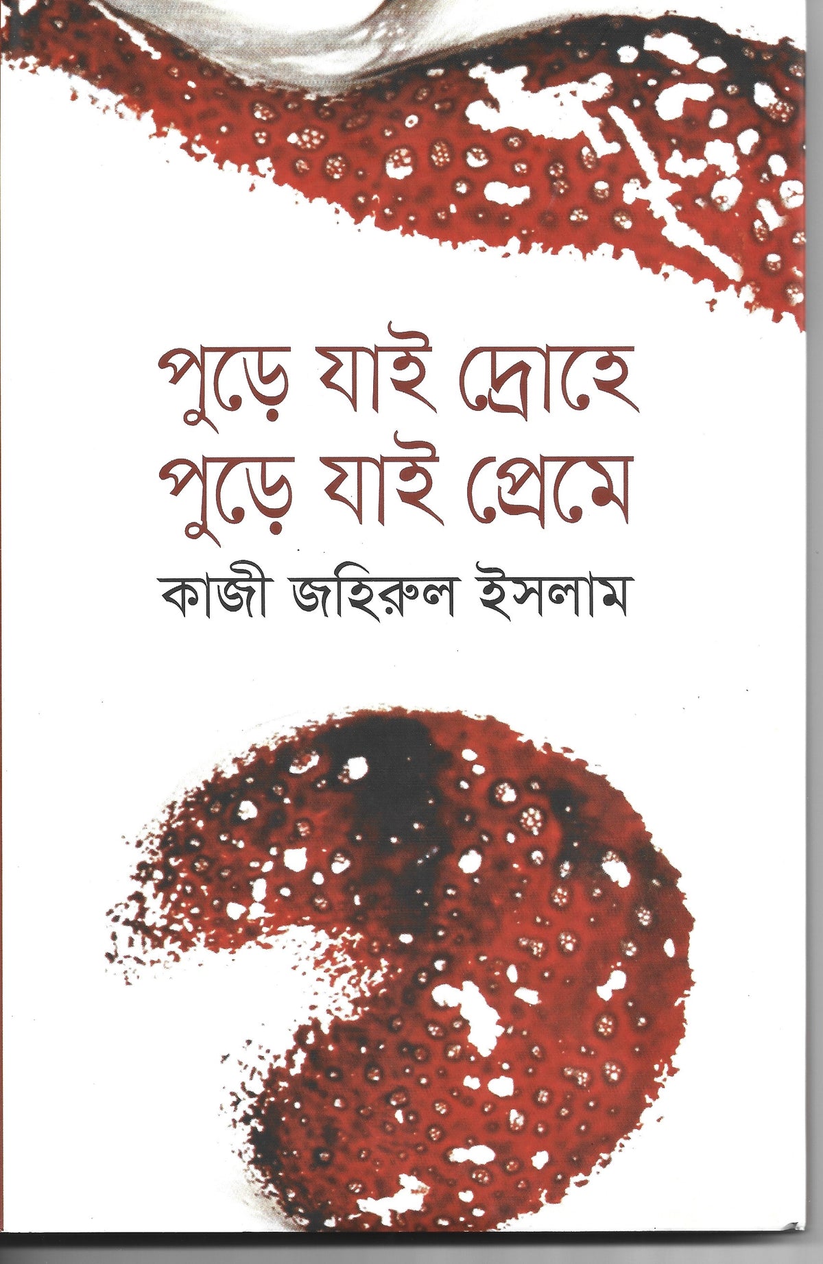 পুড়ে যাই দ্রোহে পুড়ে যাই প্রেমে - কাজী জহিরুল ইসলাম