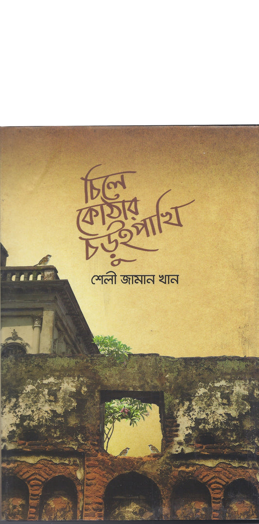 চিলে কোঠার চড়ুইপাখি - শেলি জামানখান